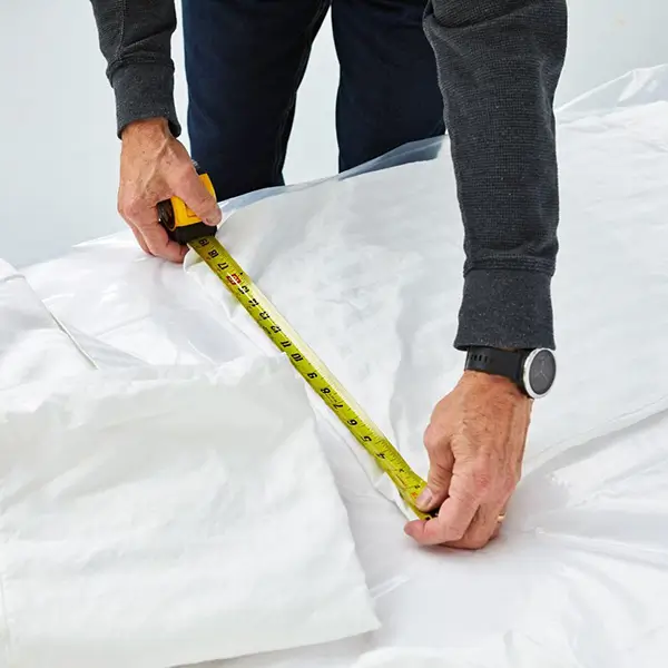 Inspeccion de Sabanas