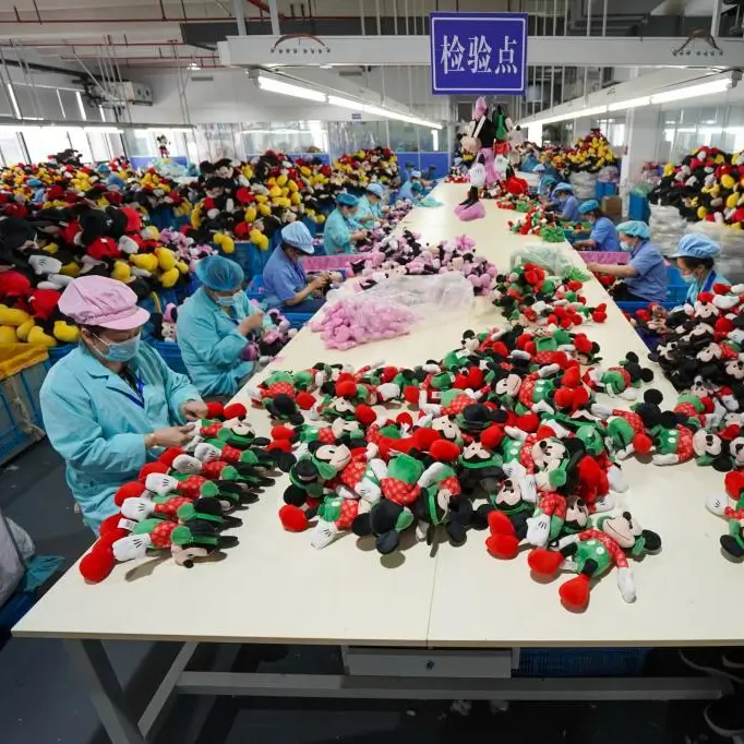 Inspeccion de Juguete