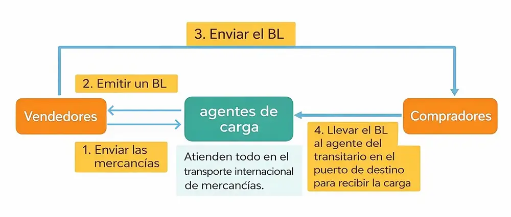 La Circulacion de B/L